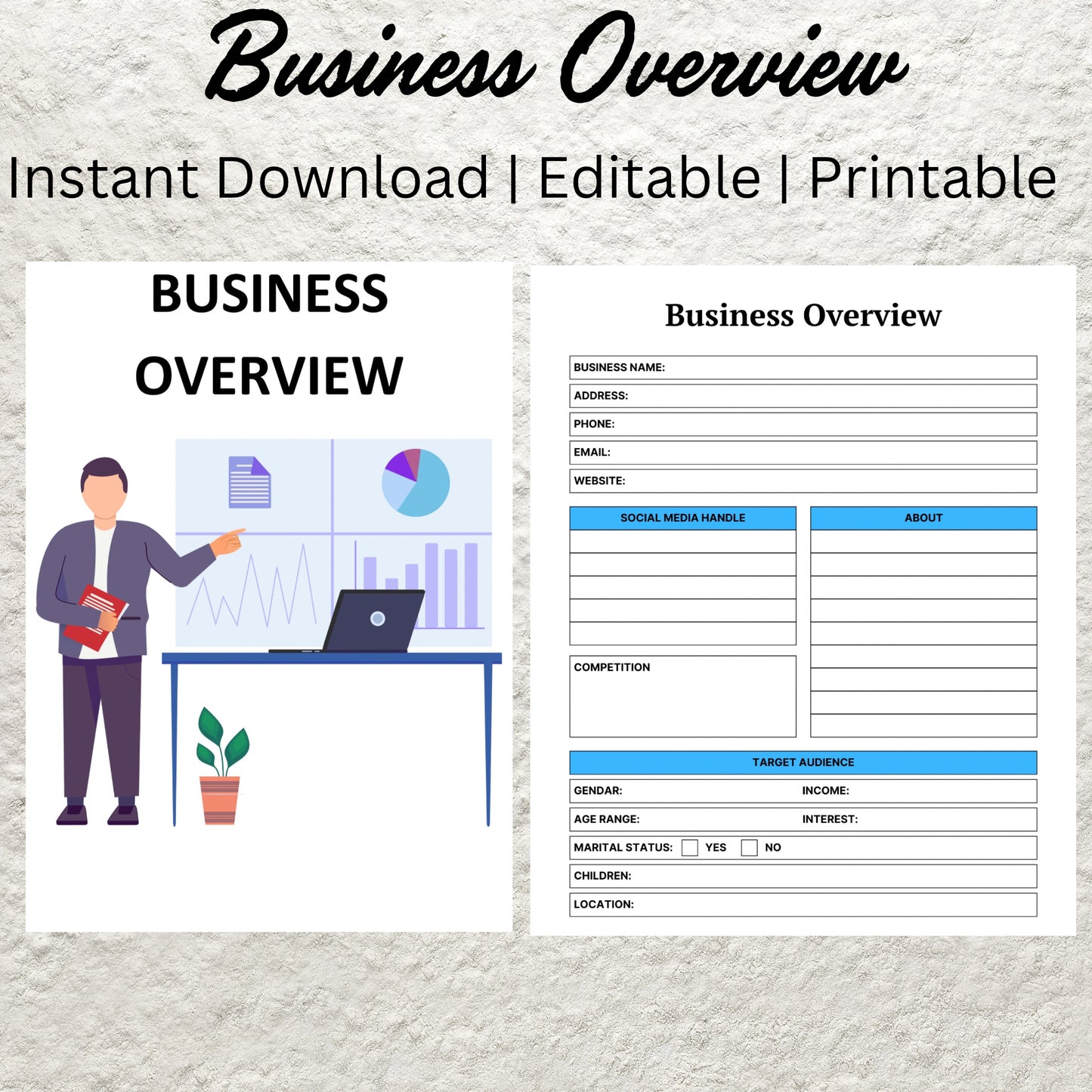 Business Overview Template Printable Business Overview Planner Small Business Summary Home Business Organizer Business Goal Planning