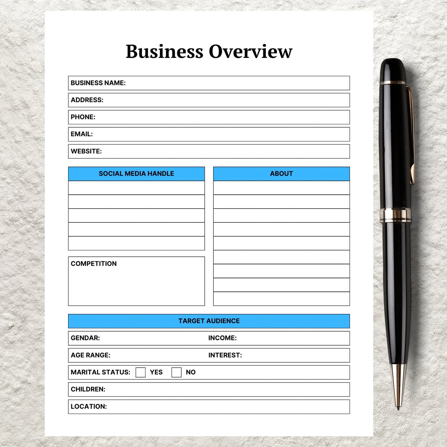 Business Overview Template Printable Business Overview Planner Small Business Summary Home Business Organizer Business Goal Planning