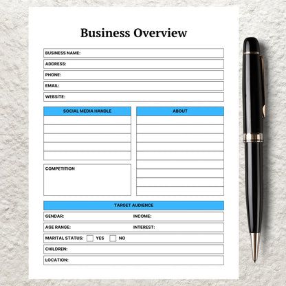 Business Overview Template Printable Business Overview Planner Small Business Summary Home Business Organizer Business Goal Planning