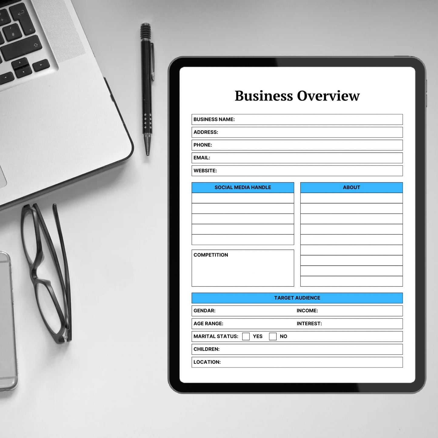 Business Overview Template Printable Business Overview Planner Small Business Summary Home Business Organizer Business Goal Planning